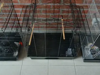 Overige Vogels 3 verschilde vogel kooien