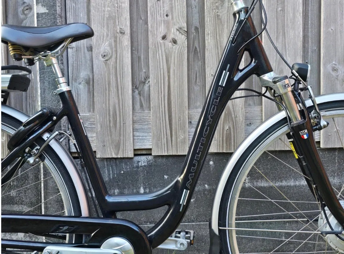 Fietsen | Dames | Damesfietsen Multicycle Tour 48cm Dames E-Bike